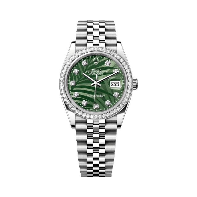 Datejust 36mm, st/wg, Green Palm 10rd dial, Diamond Bezel, Jubilee Bracelet